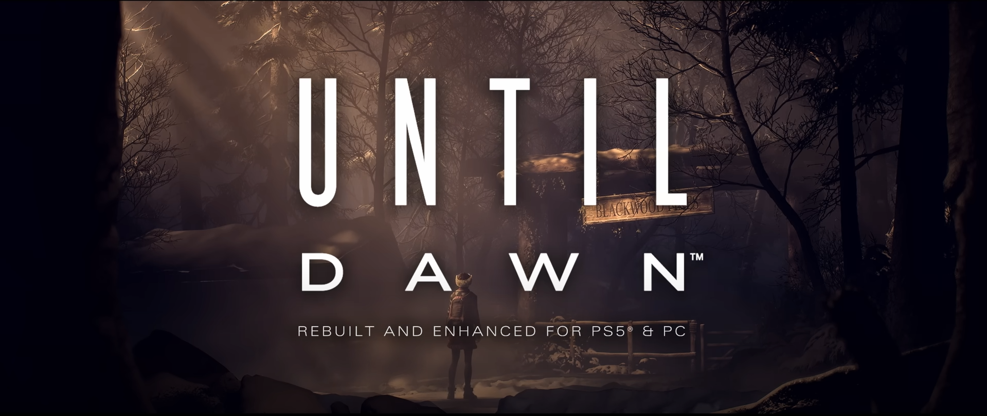 Until Dawn