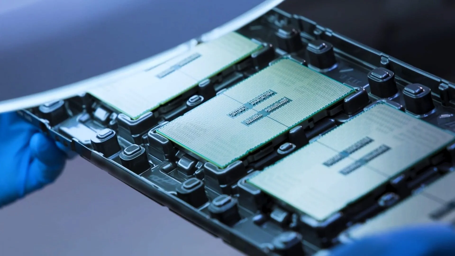 پردازنده Xeon 6 P Core