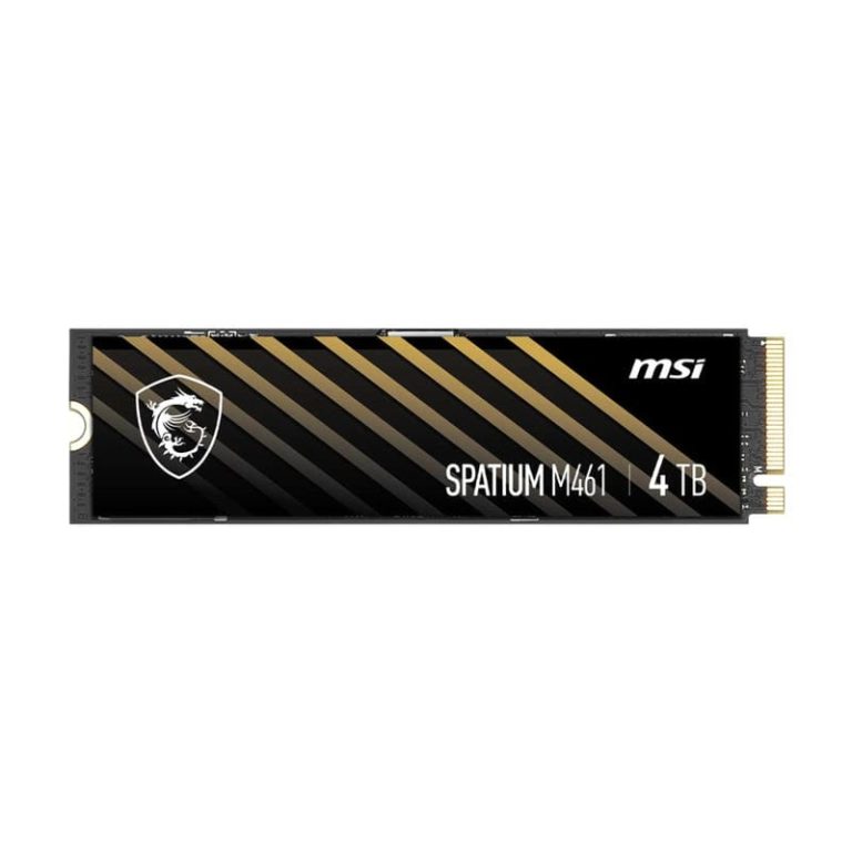 اس اس دی ام اس آی MSI Spatium M461 4TB
